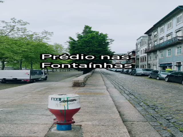 No Flash found