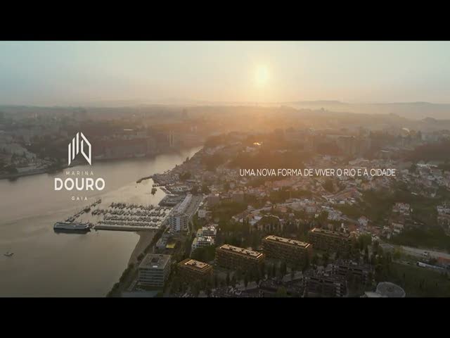 No Flash found